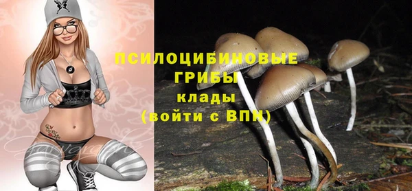 a pvp Верея