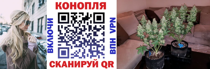 Канабис White Widow  Новомосковск 